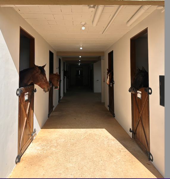 Primeira Academia Brasileira do Cavalo do Sul do Brasil fica no Paraná