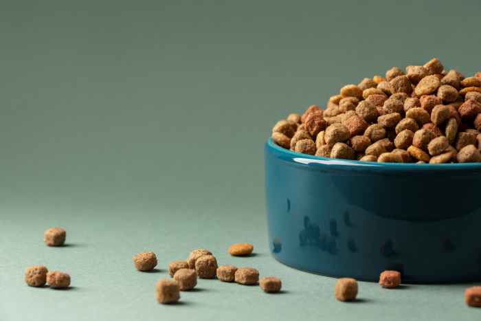 Alimentação animal tem crescimento de 2% no primeiro semestre
