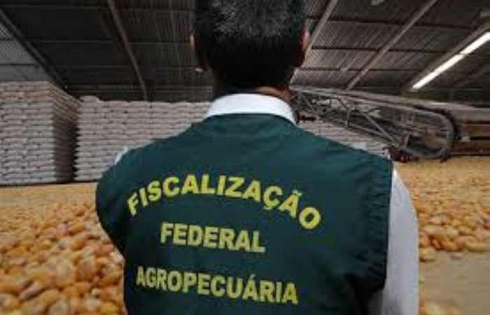 Semana pode ser decisiva para a fiscalização de produtos agropecuários no Paraná