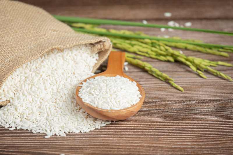 Governo não vai competir com produtores gaúchos de arroz, diz Fávaro