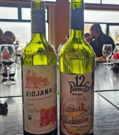 Importadora paranaense garimpa vinhos diferenciados em vinícolas argentinas