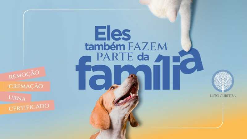 Serviço de cremação para pets apoia as famílias na hora do luto