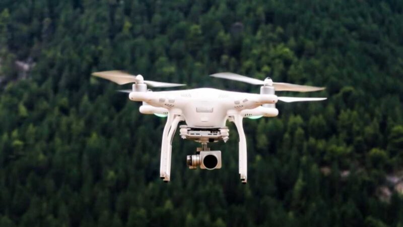 Drones e tecnologia revolucionam a silvicultura