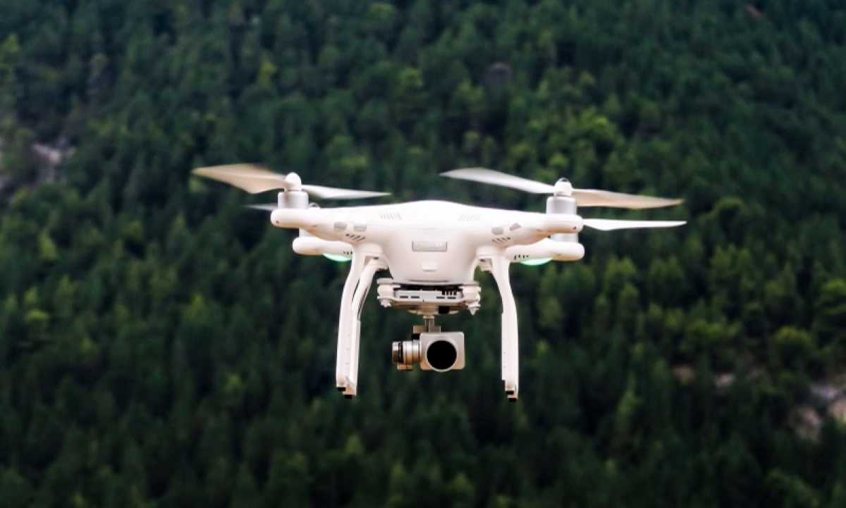 Drones e tecnologia revolucionam a silvicultura