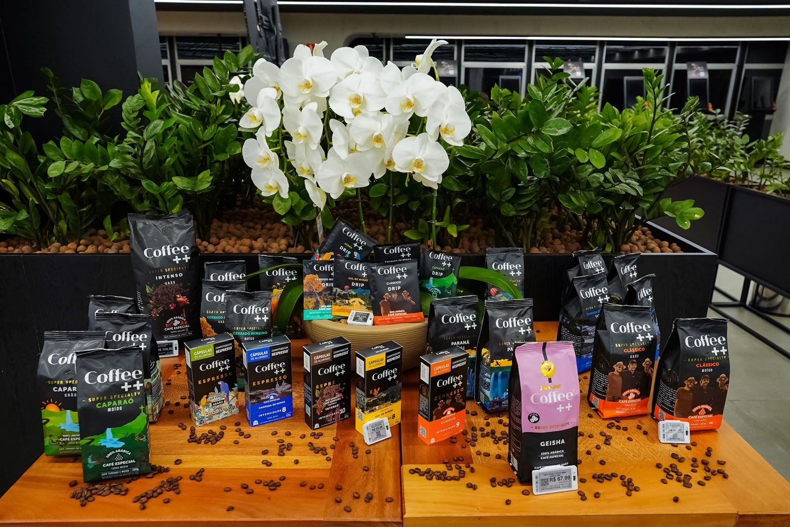 Coffee++ lança Linha Paraná em evento exclusivo no Festval