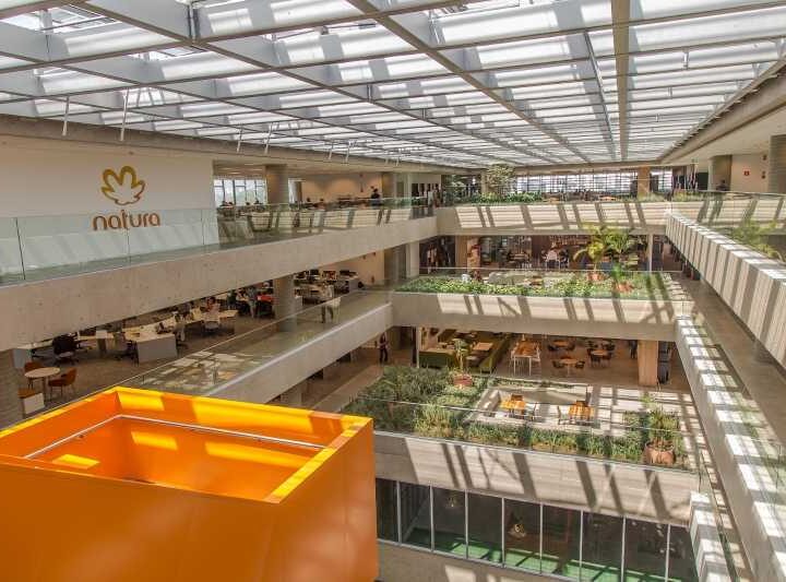Natura lança Relatório Integrado 2025 com metas de ESG atingidas antecipadamente