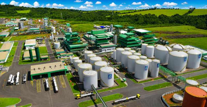 BNDES aprova financiamento de R$ 96,2 milhões para Grupo Potencial