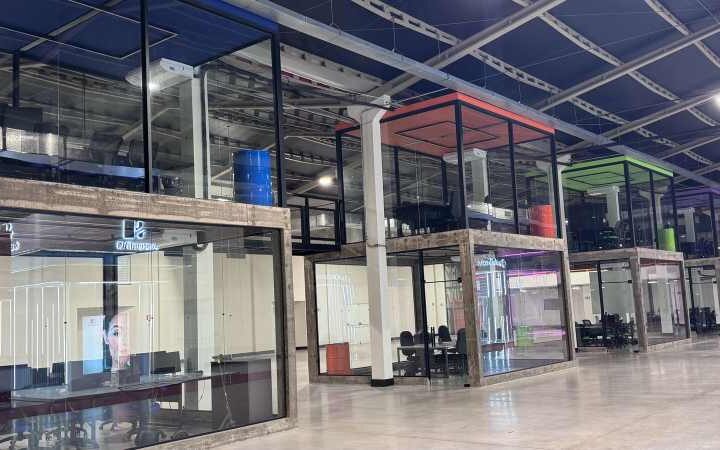 Lions aposta em startups em estágio inicial para formar a próxima geração de unicórnios