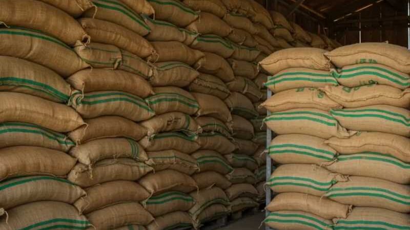 Exportar mais não basta: armazenagem define qualidade e valor dos grãos