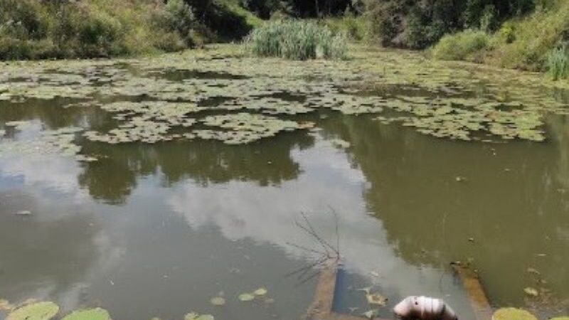 Grupo Boticário amplia investimentos em segurança hídrica