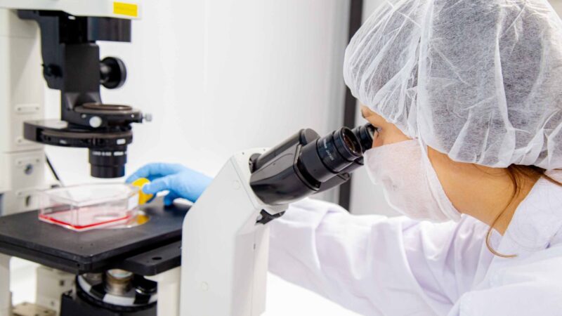 Pelo segundo ano, Natura é a empresa mais inovadora do setor de cosméticos